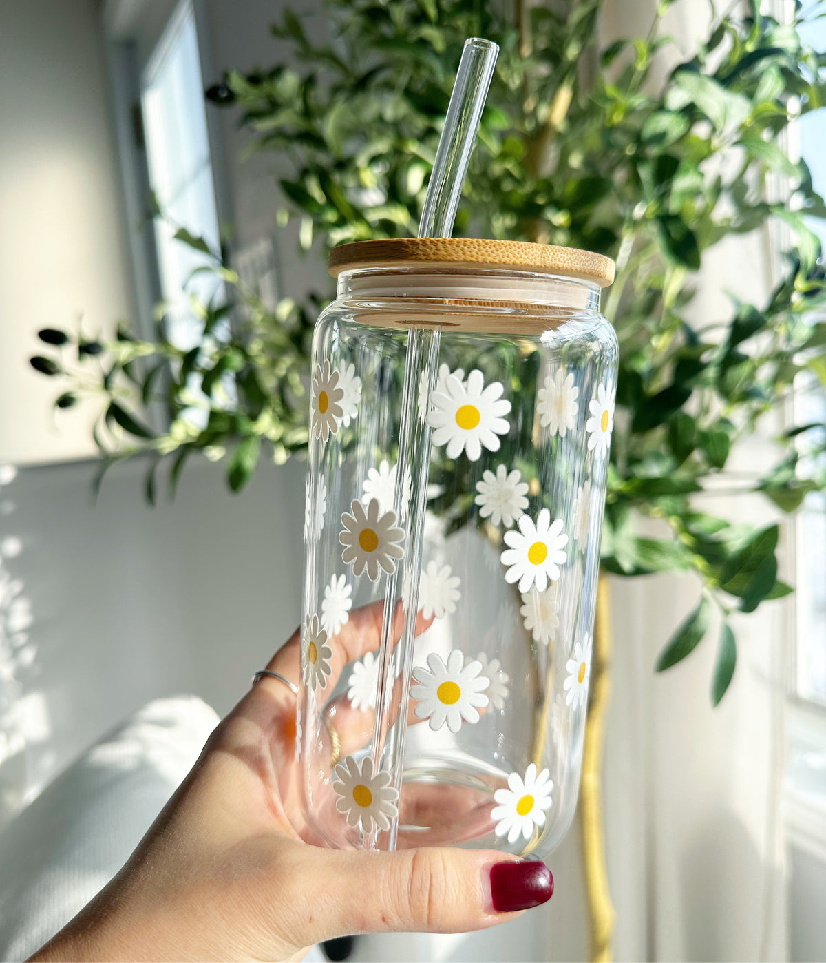 Marguerites blanches